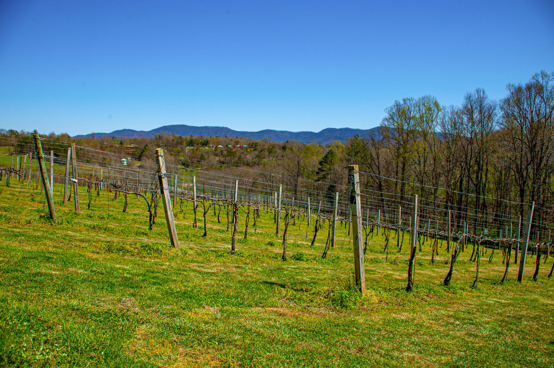20210403-LEE_1744-Edit.jpg